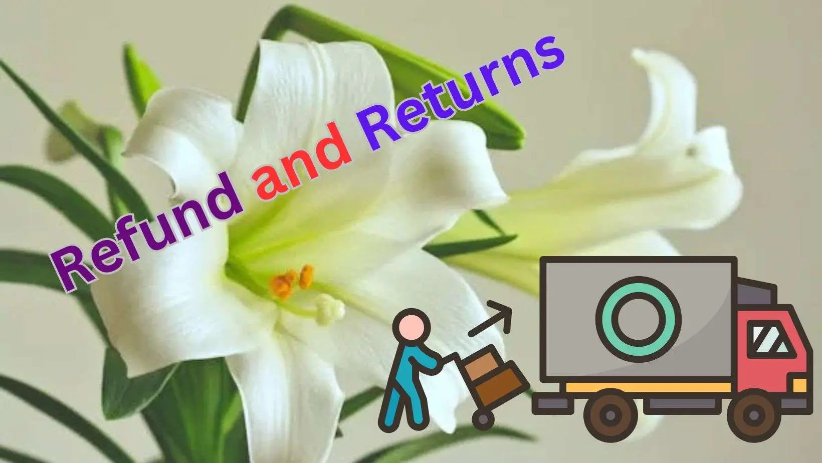 Refund and Returns Policy